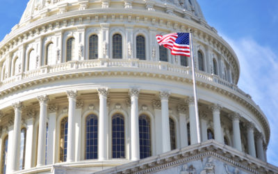 Responding to Government Agency RFPs: 5 Tips For A Compelling Response